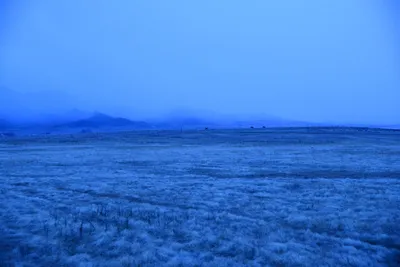 DSC_1131 (Large).JPG